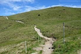 Trail