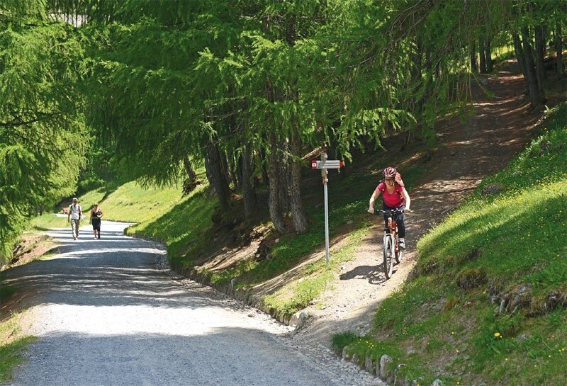 Img2 96363615 Default Variant