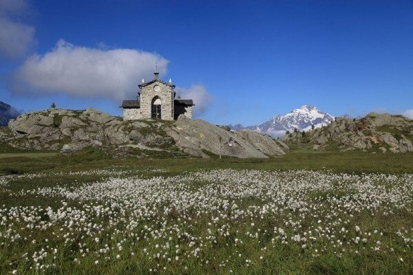 Img2 96364106 Default Variant