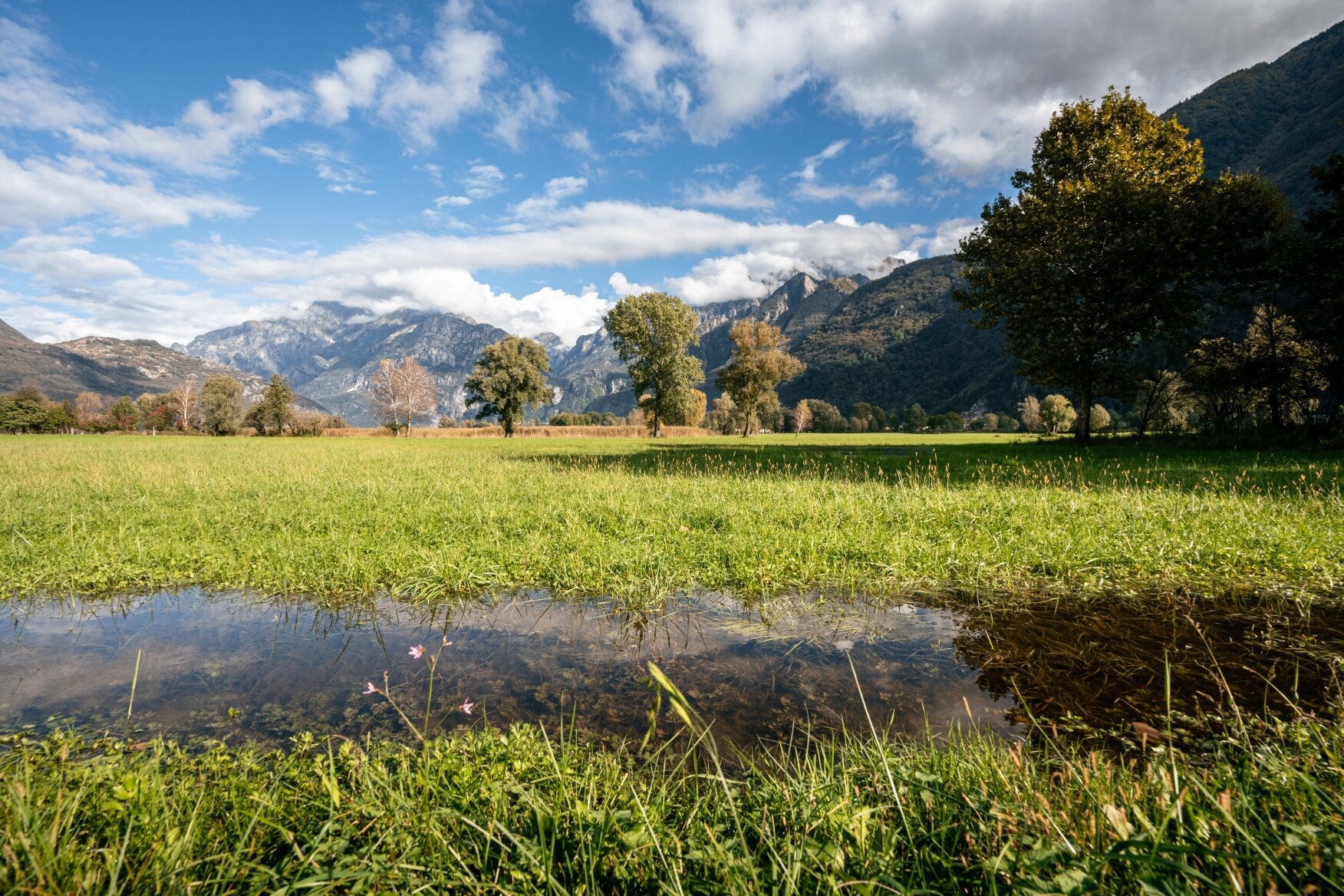 Img2 623563523 Default Variant