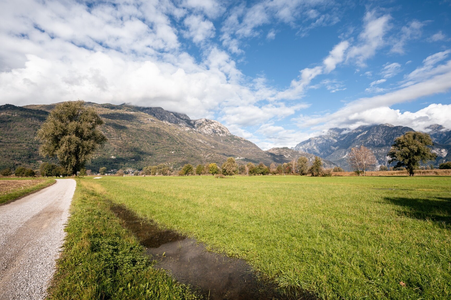 Img2 623594590 Default Variant