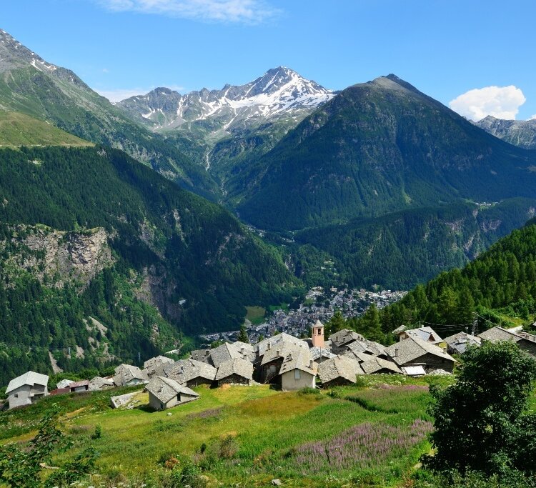 Starleggia