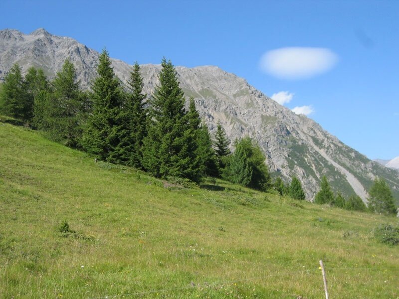 Lungo i prati, verso le torri di Fraele