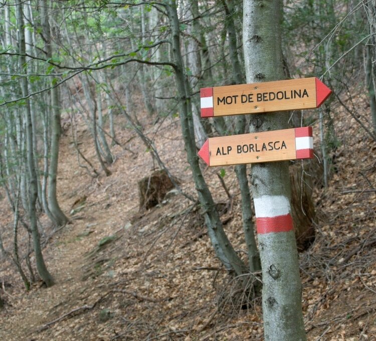 Sentiero verso Bedolina