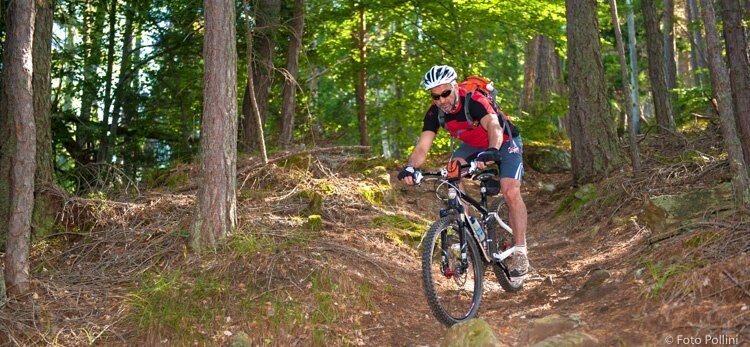 Document{{en=Alpini Trail n. B352, it=Alpini Trail n. B352, de=Alpini Trail n. B352}}