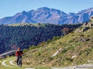 Document{{en=Berbenno, Pra' Isio, Alpe Caldenno (MTB-EMTB), it=Berbenno, Pra' Isio, Alpe Caldenno (MTB-EMTB), de=Berbenno, Pra' Isio, Alpe Caldenno (MTB-EMTB)}}