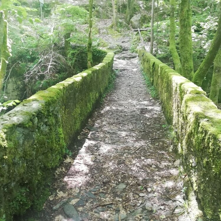 Document{{en=Mule track of the Val d'Arigna, it=Mulattiera della Val dArigna, de=Maultierpfad des Val d'Arigna}}