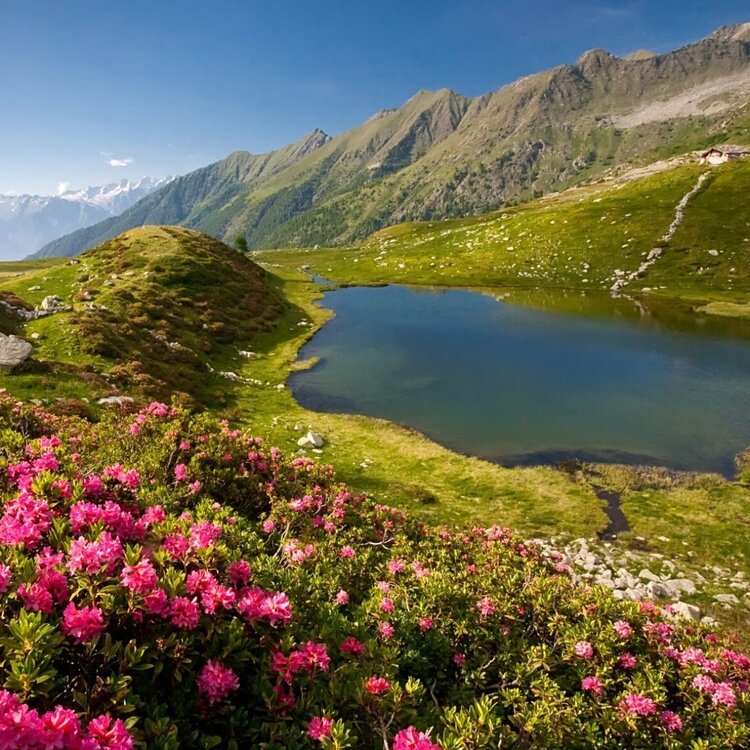 Document En Porcile Lakes It Laghi Di Porcile De Porcile Seen 804596236
