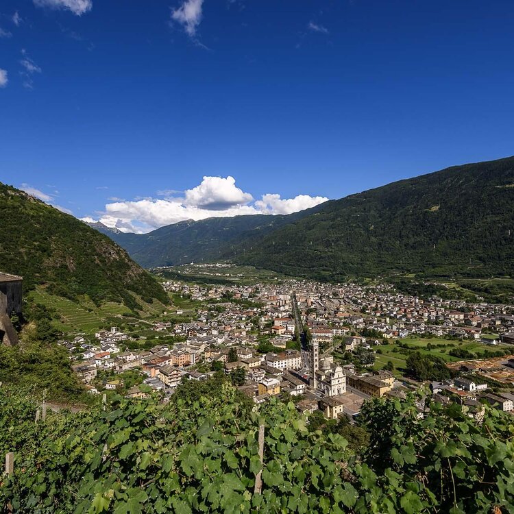 Document En Santa Perpetua Tirano It Santa Perpetua Tirano De Santa Perpetua Tirano 804596727