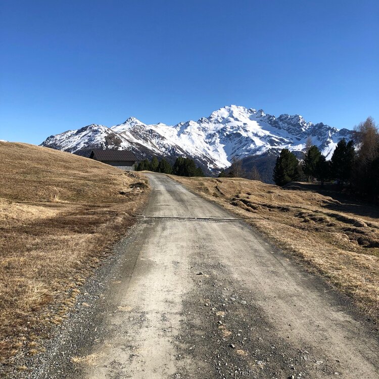 La strada della Val Vezzola con la Cima Piazzi a far da cornice