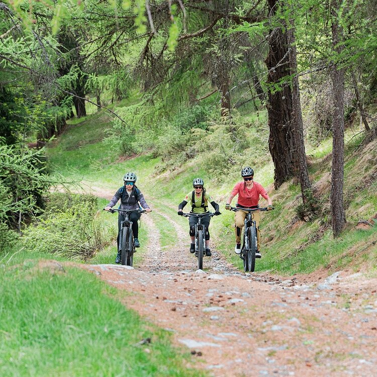 Document{{en=Stelvio E-Bike Tour: Bormio Pedemontana della Reit, it=Stelvio E-Bike Tour: Bormio Pedemontana della Reit, de=Stilfserjoch E-Bike-Tour: Bormio Pedemontana della Reit}}