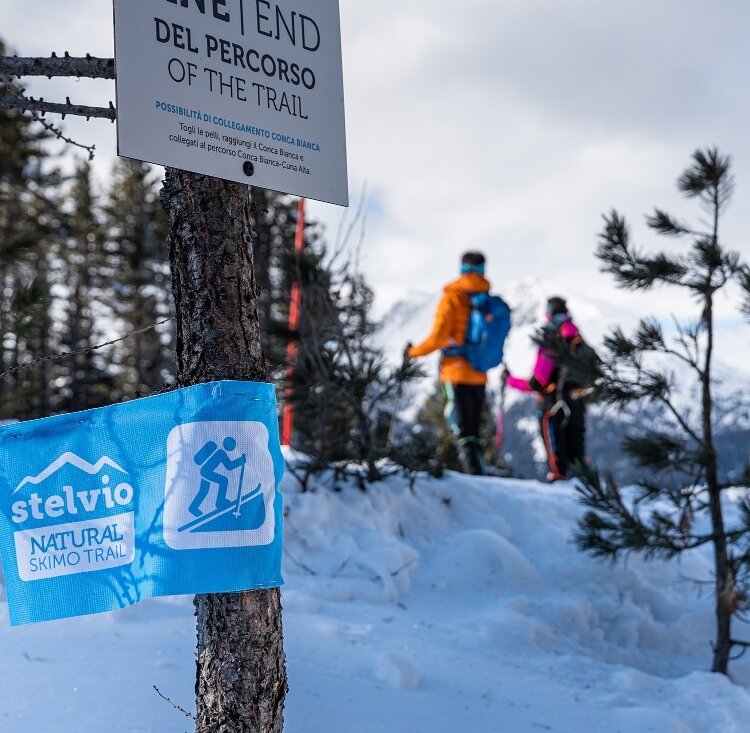 Document{{en=Stelvio Natural Skimo Trail - Rasin - Val di Fochin, it=Stelvio Natural Skimo Trail - Rasin - Val di Fochin, de=Stelvio Natural Skimo Trail - Rasin - Val di Fochin}}