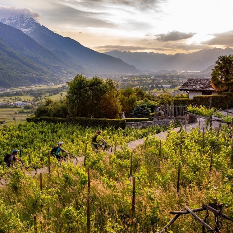 In bici tra i vigneti della Bassa Valtellina