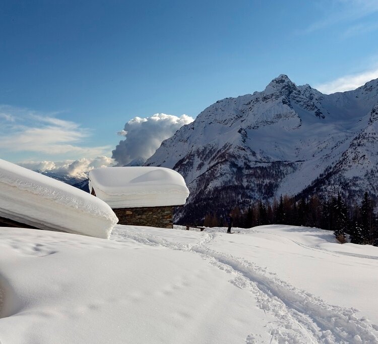 Document{{en=The Alpe Entova, it=L'alpe Entova, de=Die Alpe Entova}}