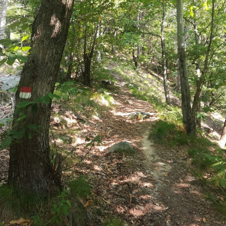 Document{{en=The Giuet Trail, it=Il Sentiero del Giuet, de=Der Weg des Giuet}}