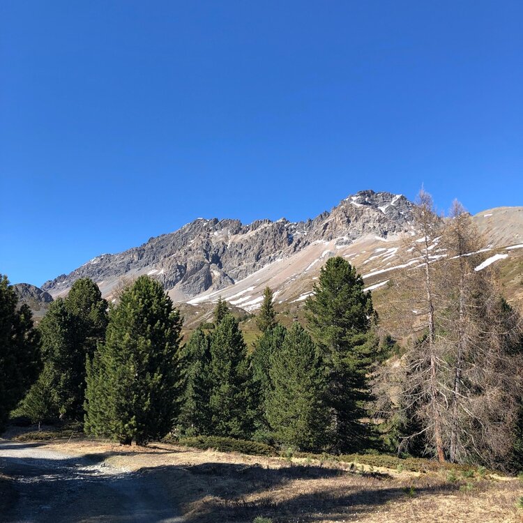 View of the Doscopa summit and the Western Plator Peak