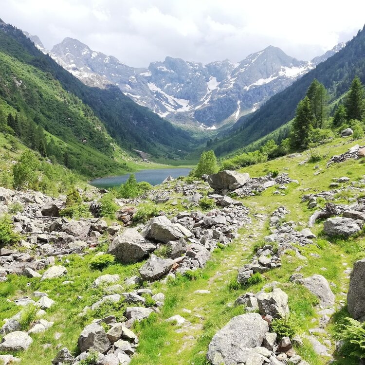 Document{{en=Zappello Valley and Lucini bivouac., it=Valle dello Zappello e bivacco Lucini., de=Zappello-Tal und Lucini-Schutzhütte.}}