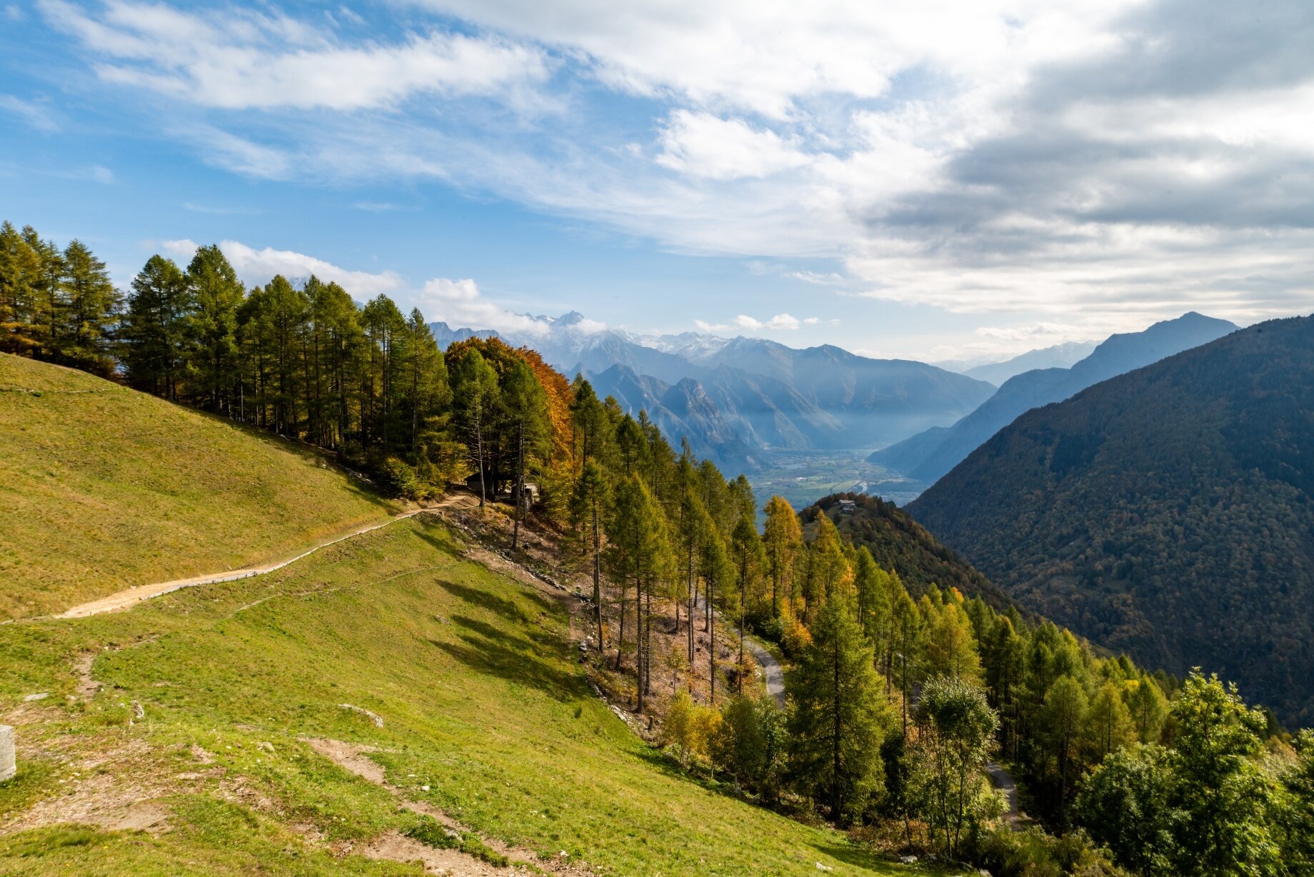 Img2 98769466 Default Variant