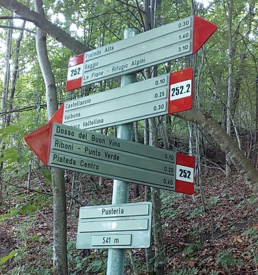 Img2 96364547 Default Variant