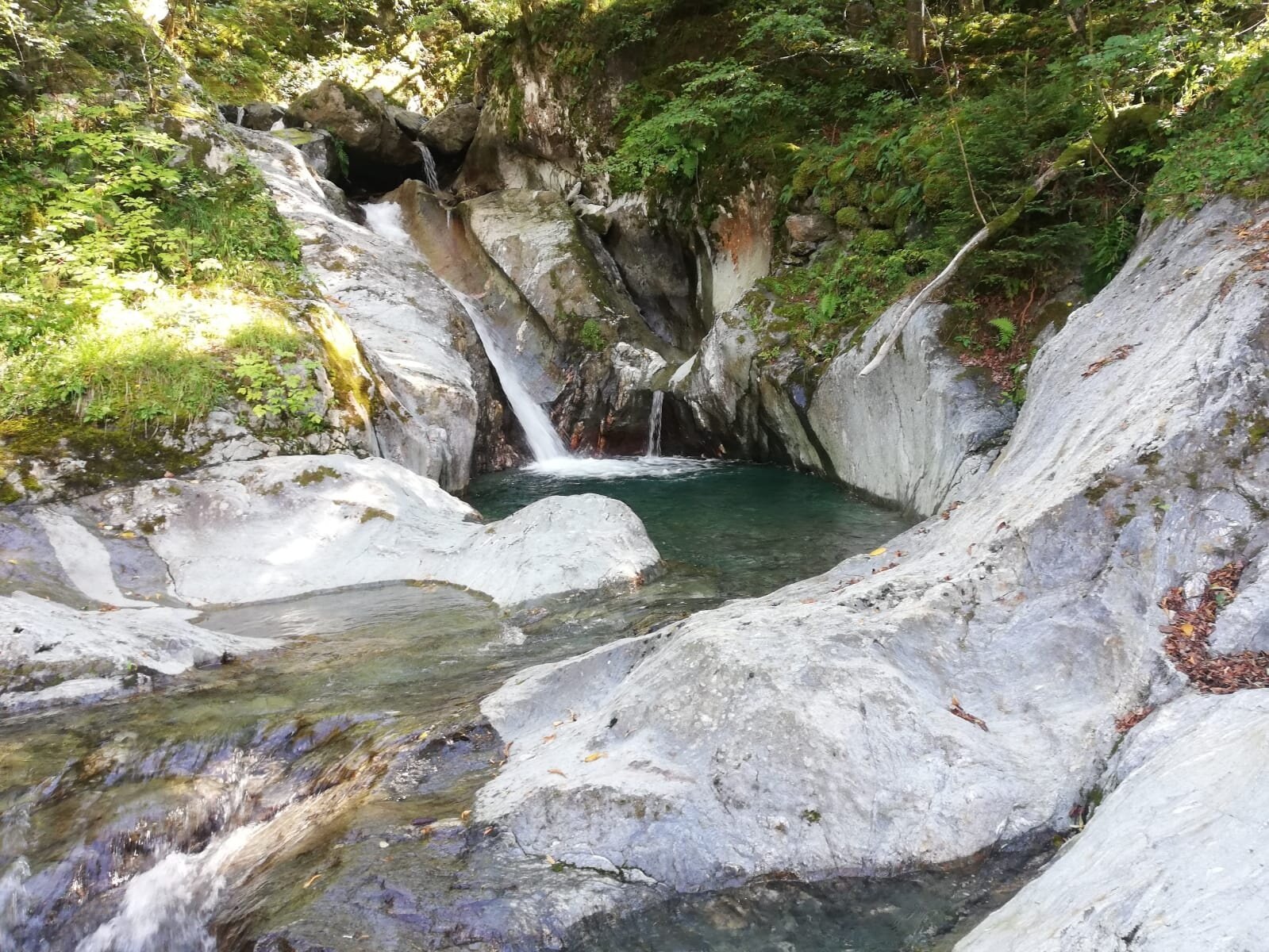 marmitta