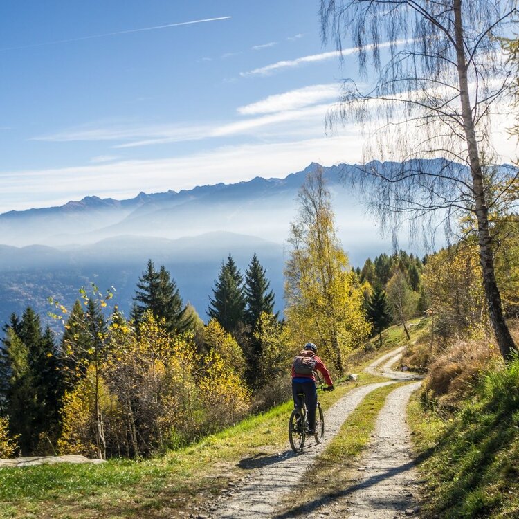 E-bike Bianzone, Nemina, Paroli, Bollone, Gema, Bianzone