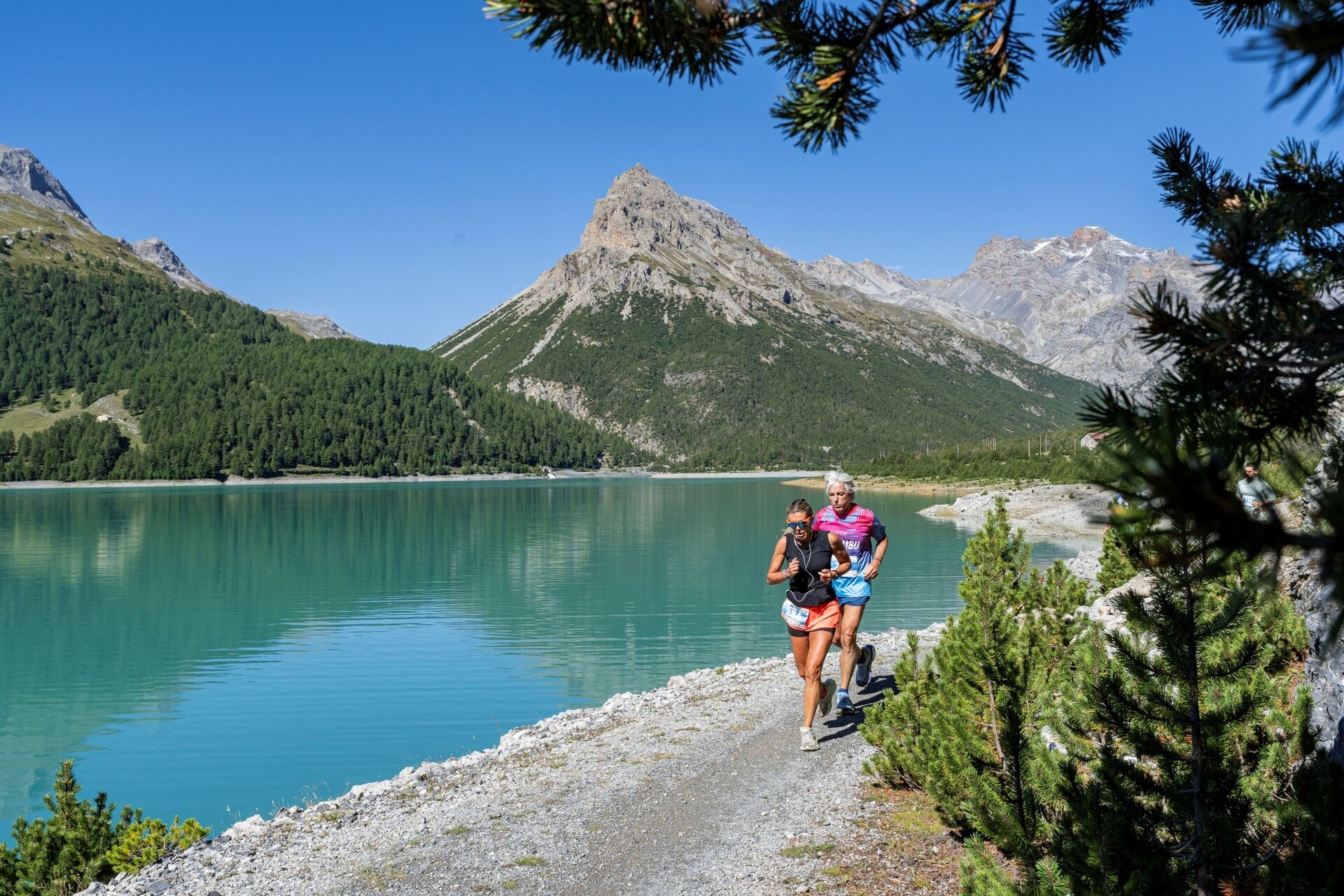 Img2 623598857 Default Variant