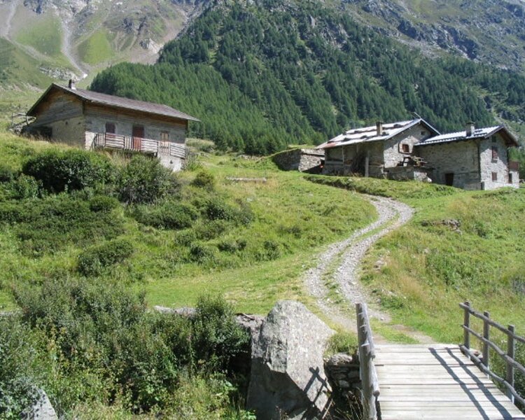 Escursione In Valle Di Rezzalo Dal Ponte Dell Alpe 804596582