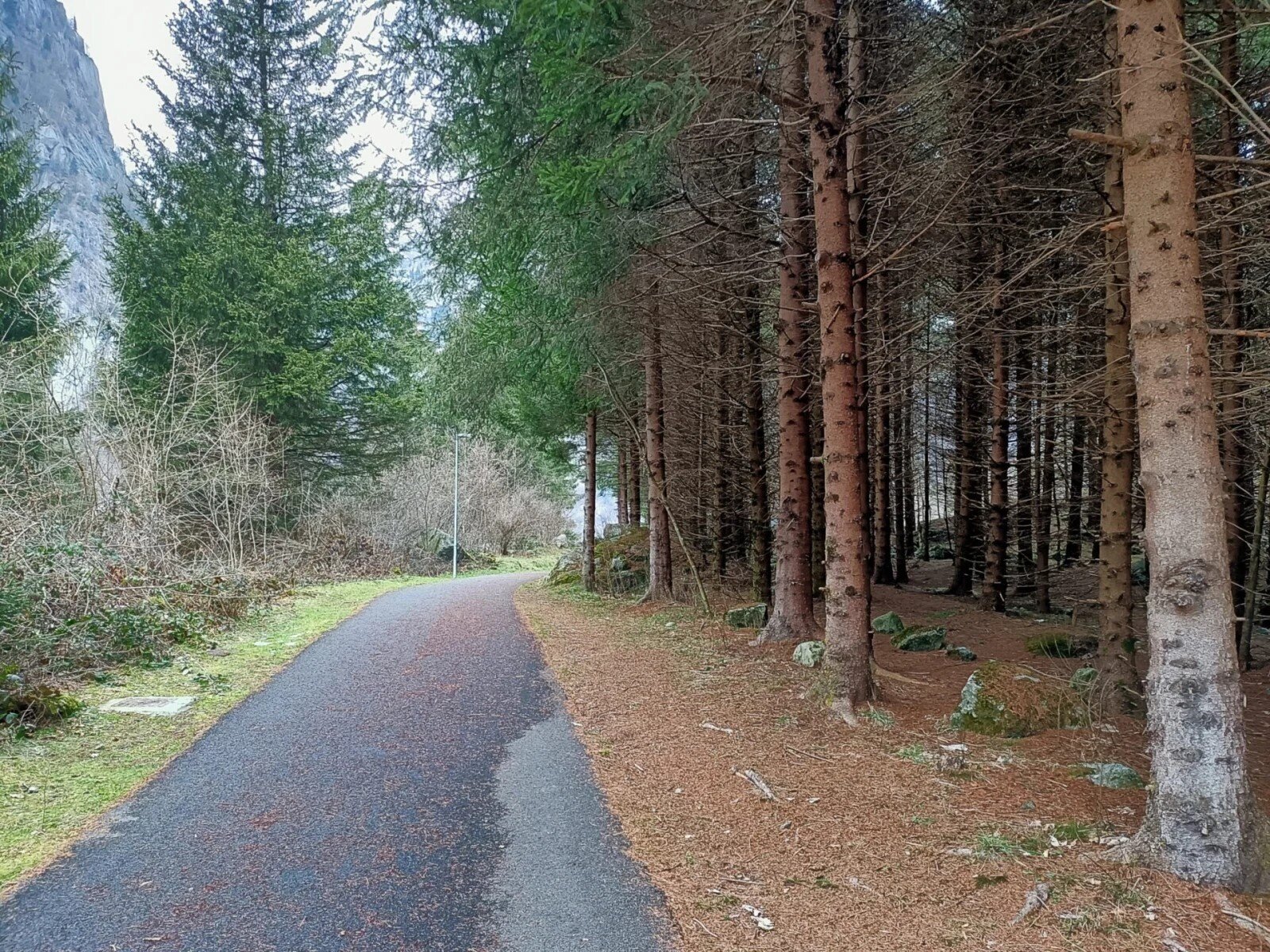 Img2 96365375 Default Variant