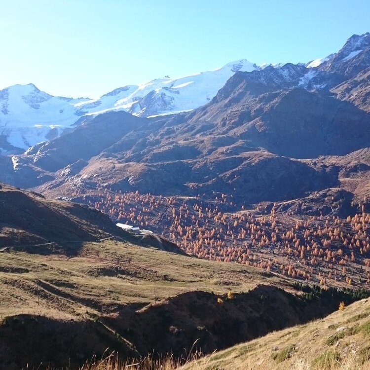 Rifugio Forni - Ables - S. Caterina Valfurva mit Joëlette