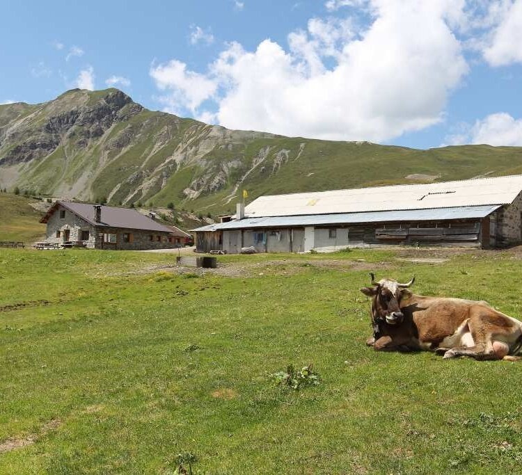 Forte di Oga - San Colombano