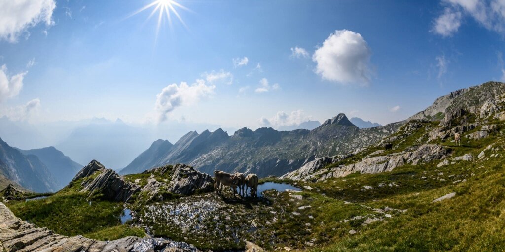 Img2 628036398 Default Variant