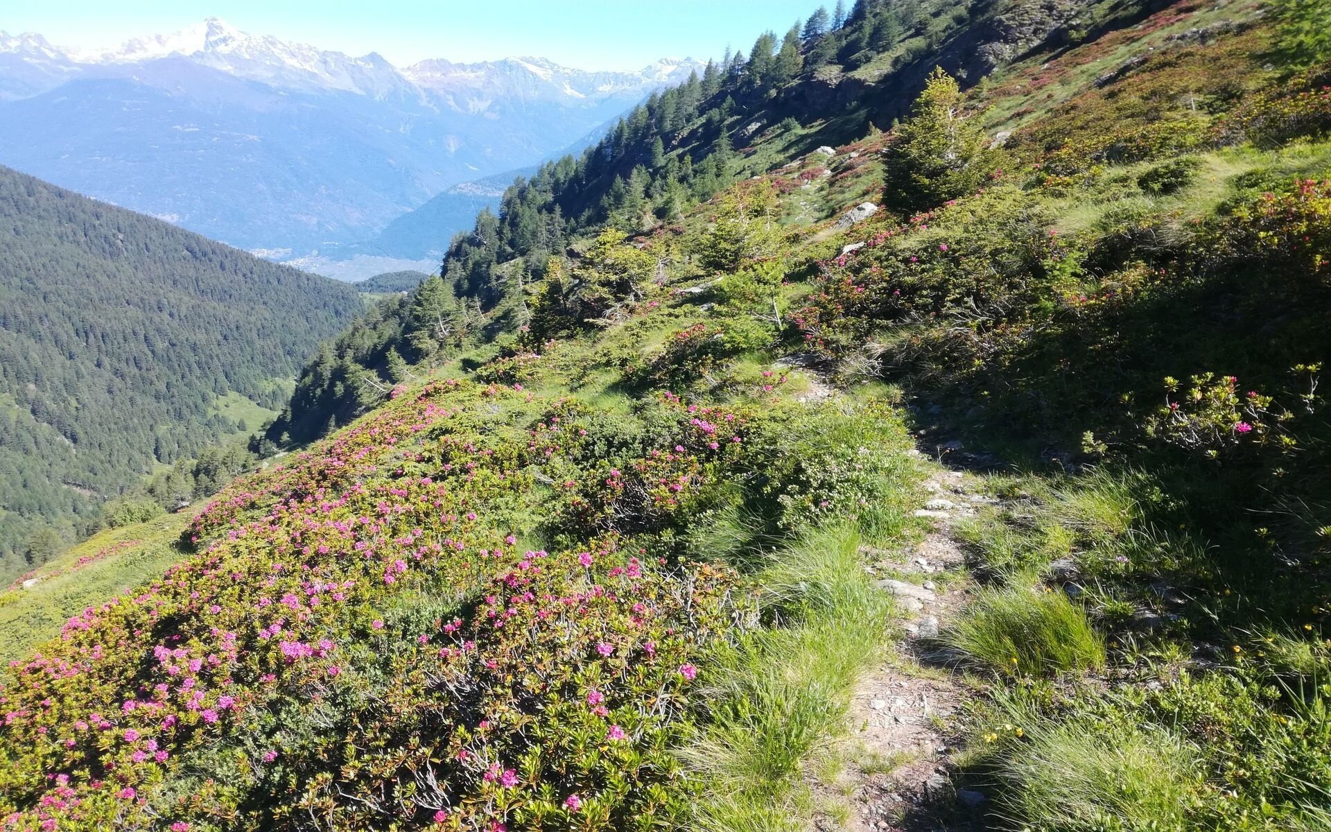 Img2 96363854 Default Variant