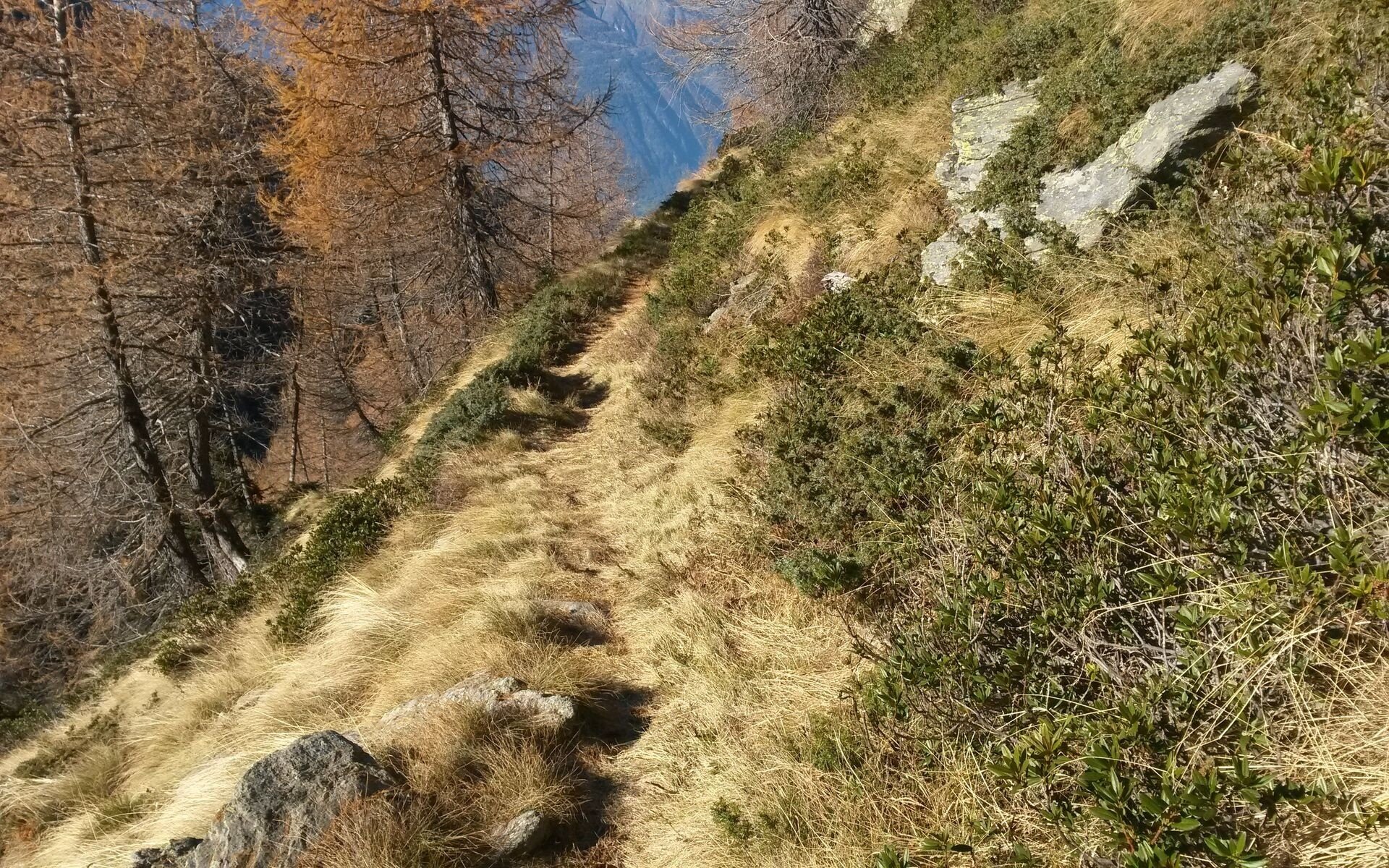 Img2 96363855 Default Variant