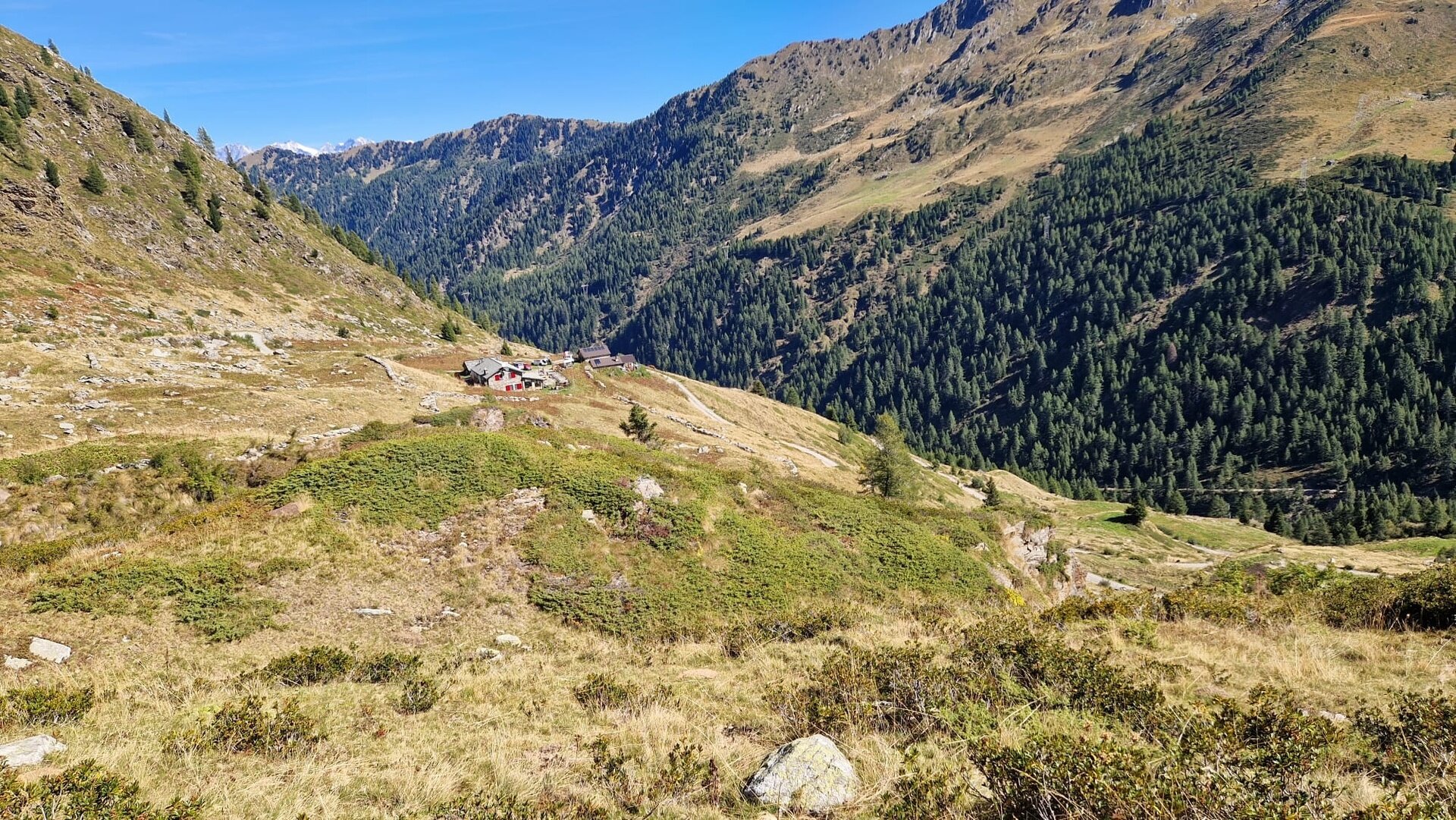 vista dal Passo Dordona