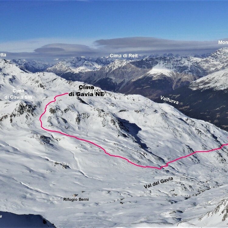 Cima di Gavia Nord-Est