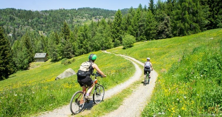 Gembro Trail n. B349