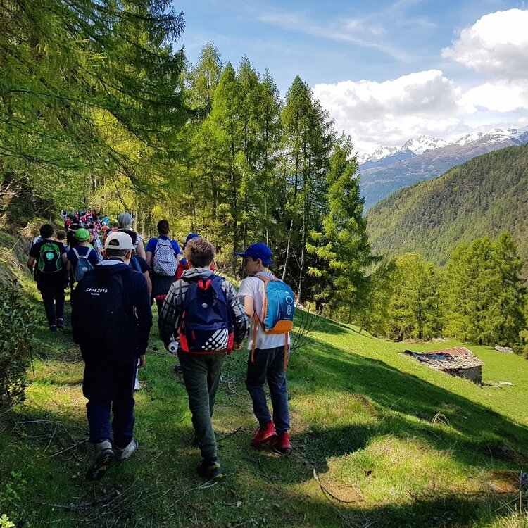 Sentiero del Bosco Gentile