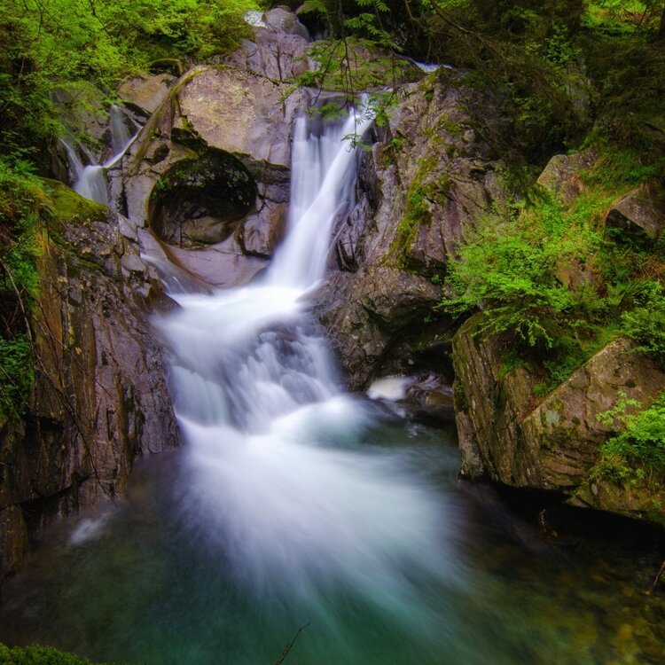 Marmitte dei Giganti e Giardino Botanico Orobie