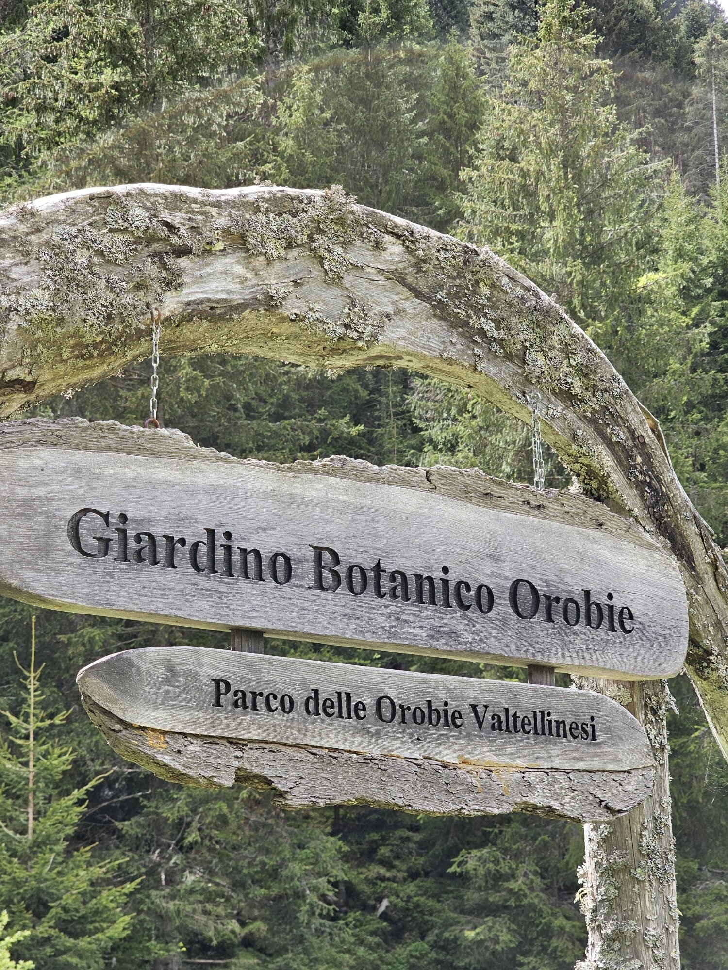 Img2 617946765 Default Variant