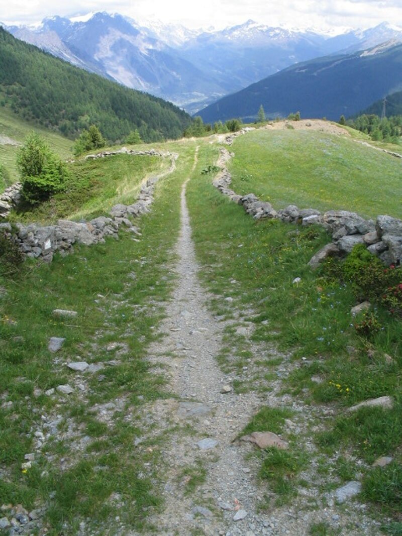 I sentieri sono talvolta delimitati da muretti in sasso