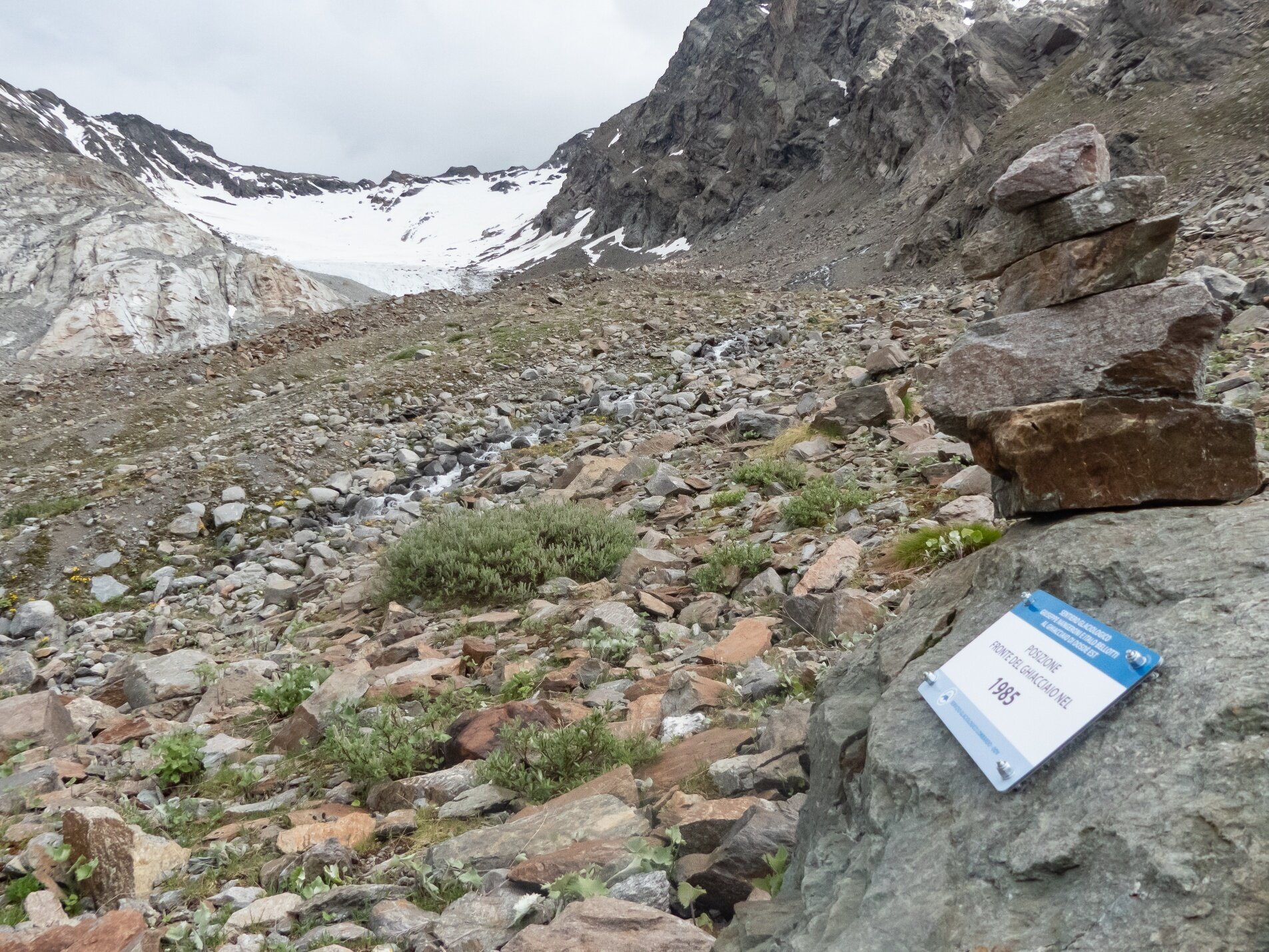 Glaciological Trail Dosdè East
