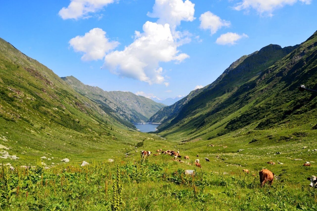 Img2 96364400 Default Variant