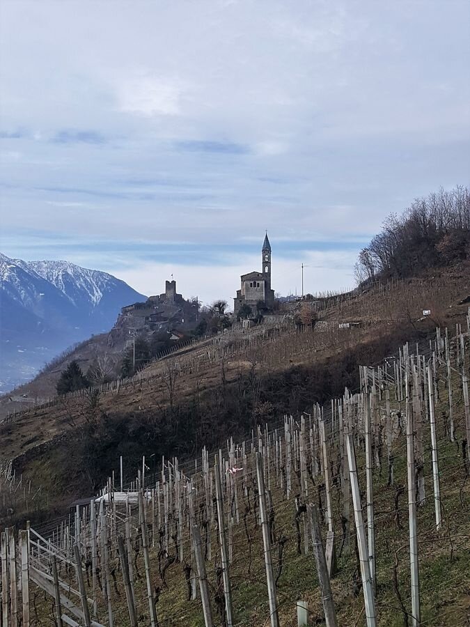 Img2 96364470 Default Variant