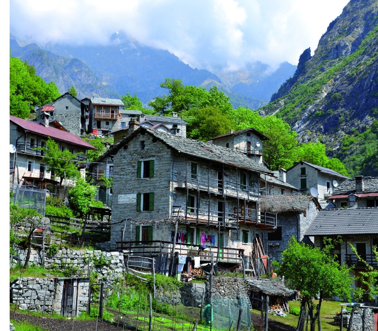 Img2 98769896 Default Variant