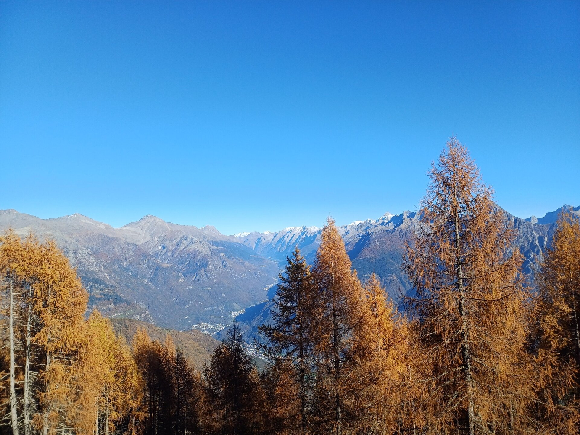 Img2 606367292 Default Variant