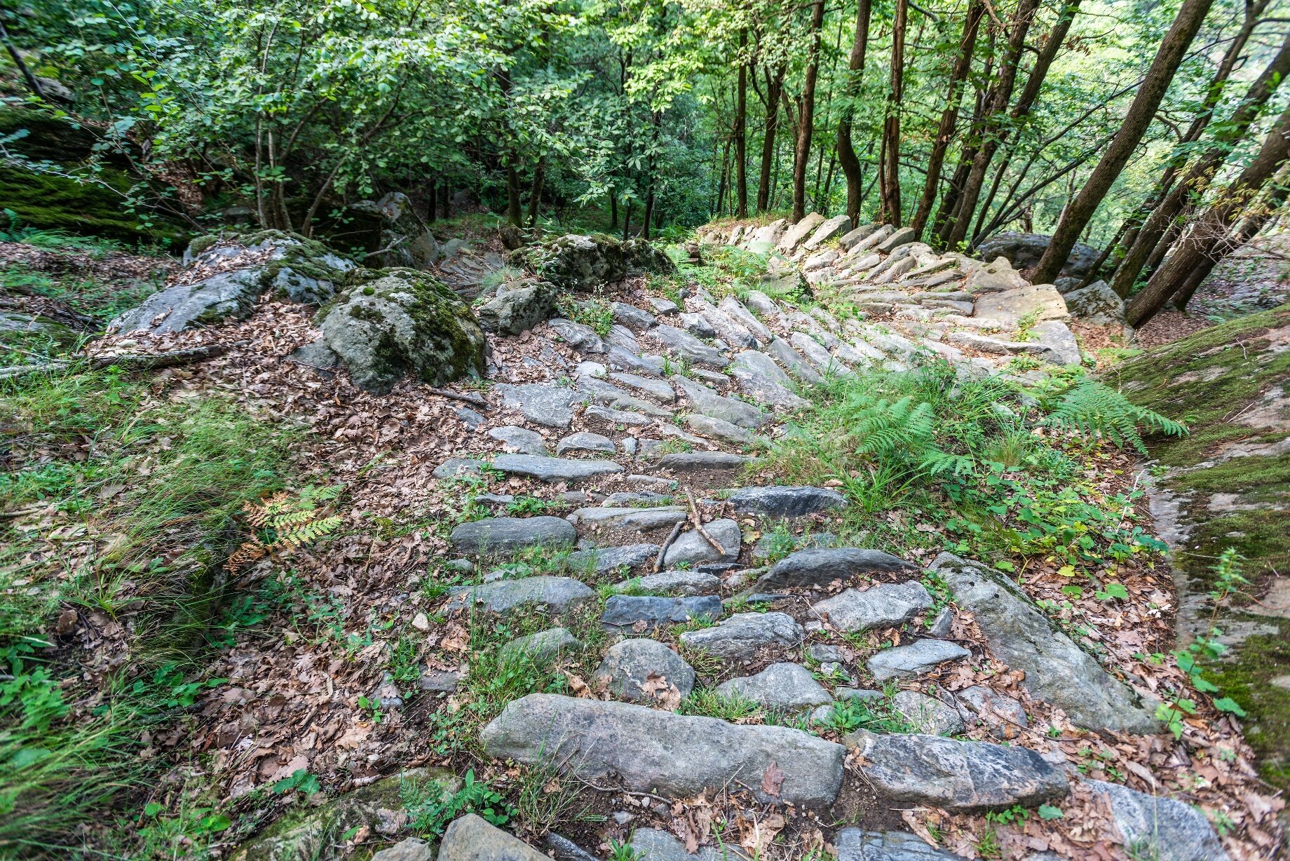 Img2 606367515 Default Variant