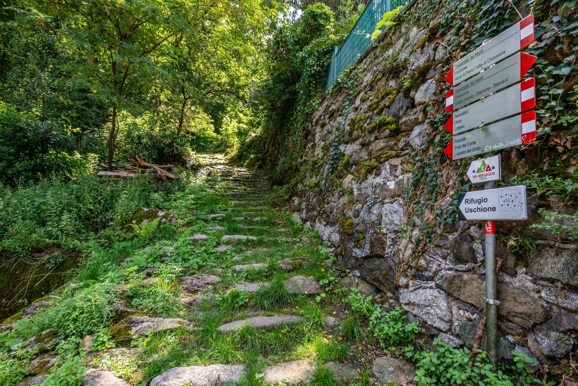 Img2 606367518 Default Variant