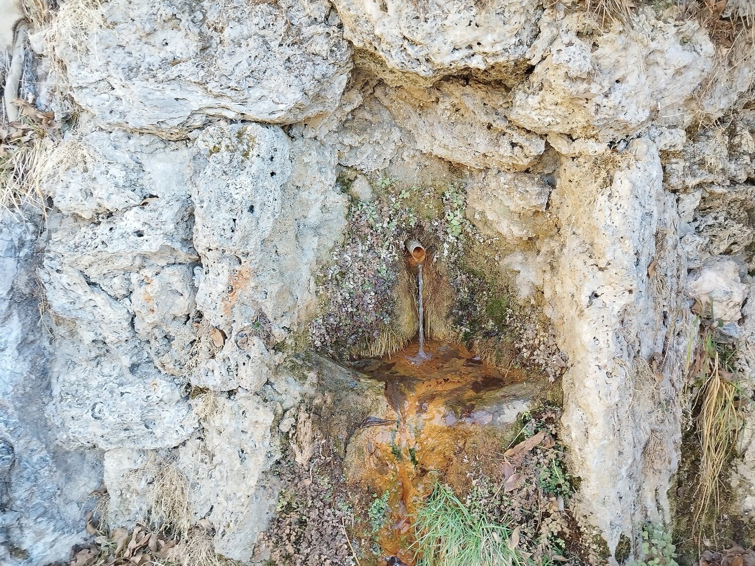 Img2 97262893 Default Variant