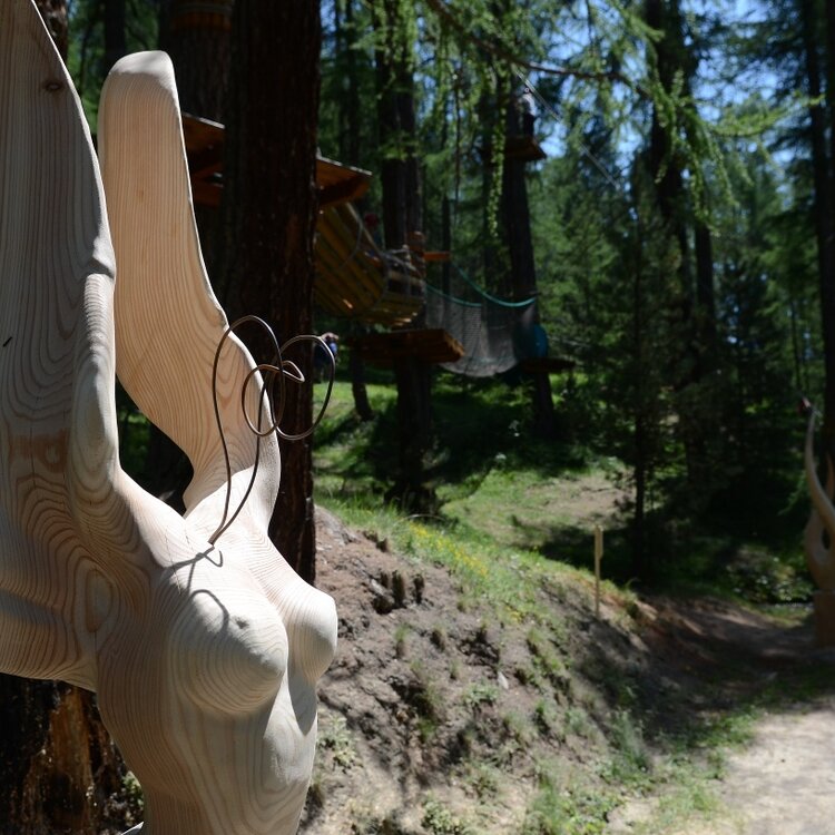 Immersion in the art trail