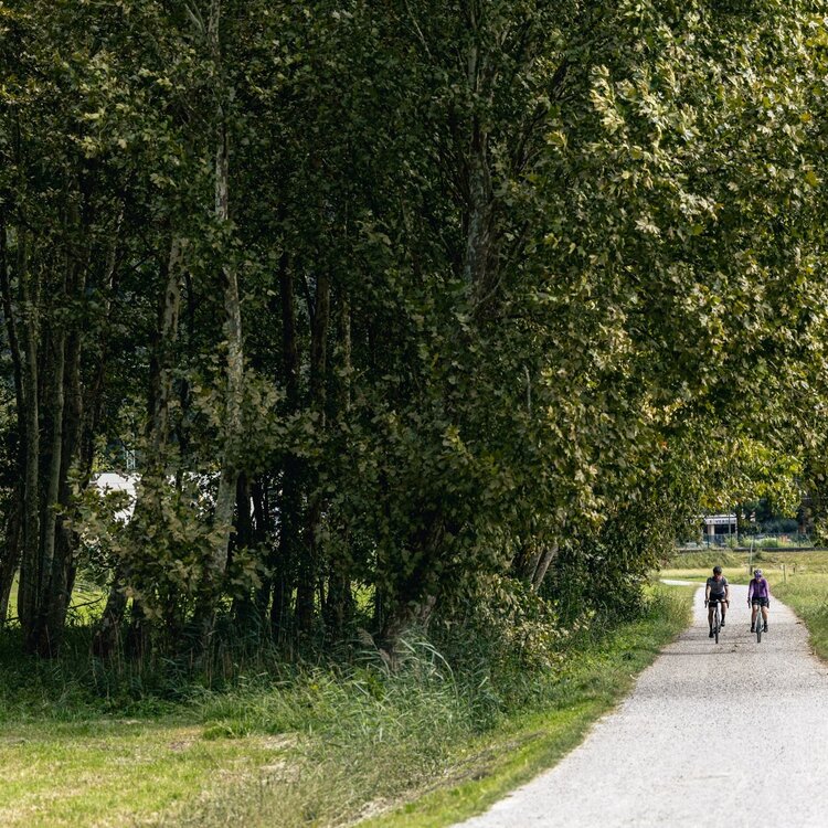 Cycling in the Pian di Spagna, Nature Reserve